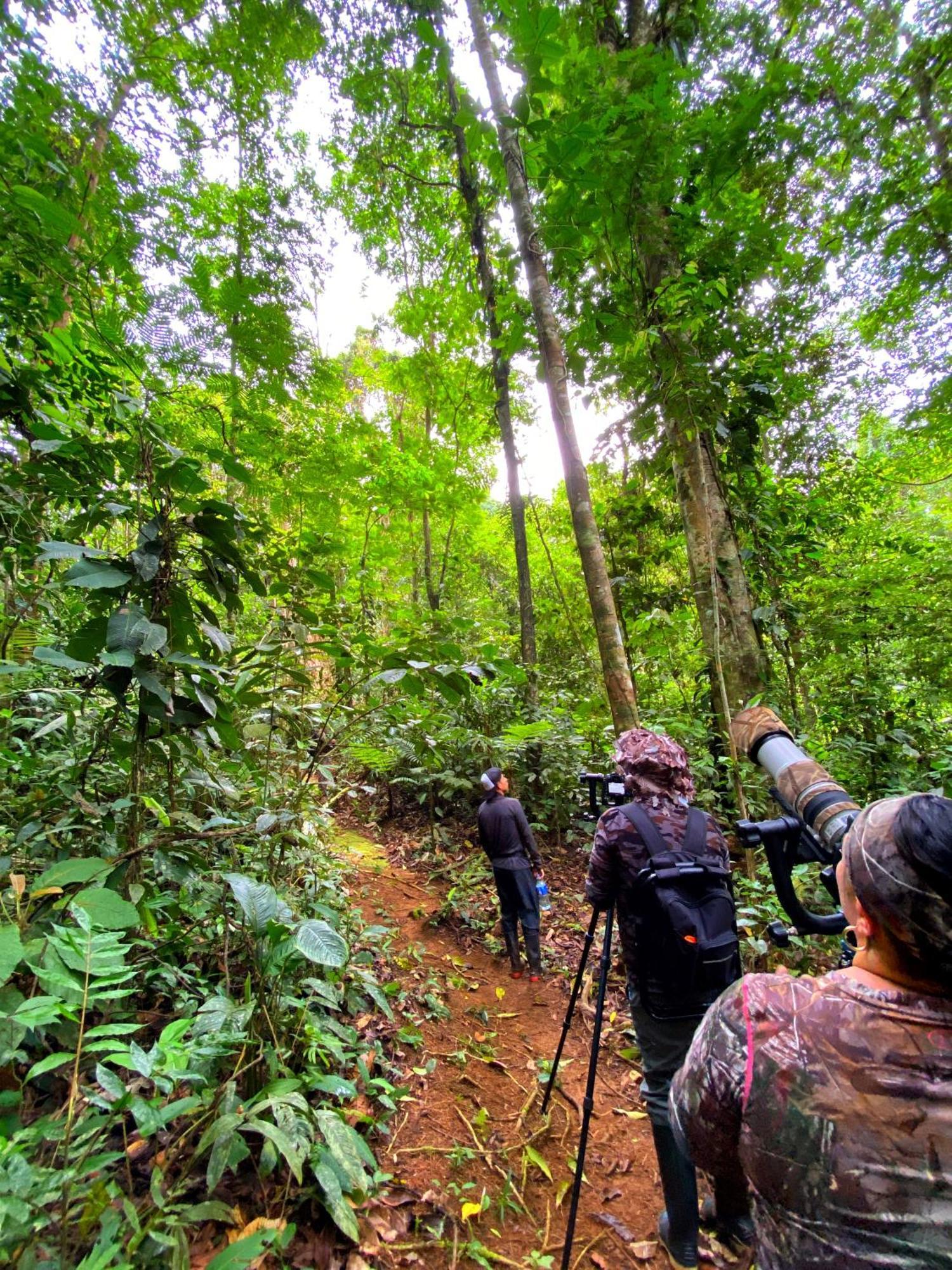 Las Arrieras Nature Reserve And Ecolodge Horquetas Bagian luar foto