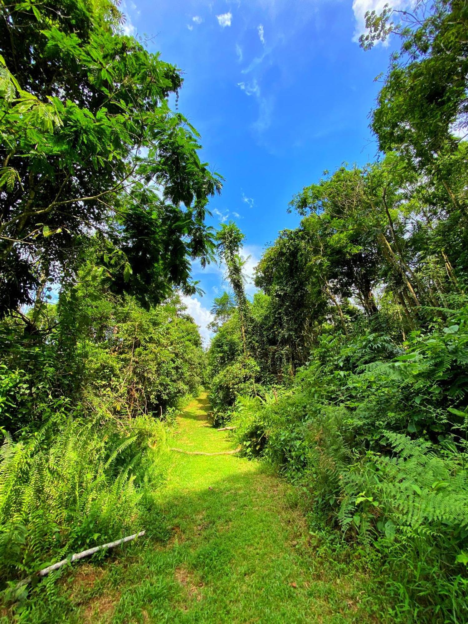 Las Arrieras Nature Reserve And Ecolodge Horquetas Bagian luar foto
